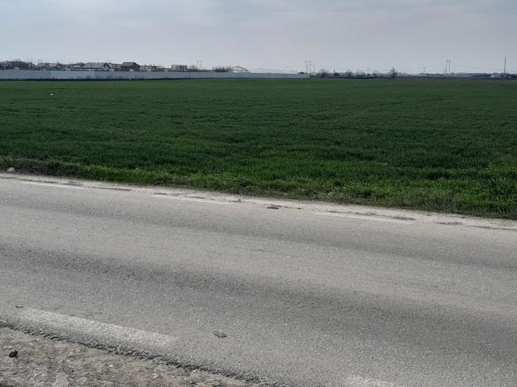 Teren agricol extravilan de 7462 mp, în Berceni