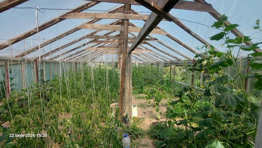 Casă cu Teren 2500 Mp în Șerbănești