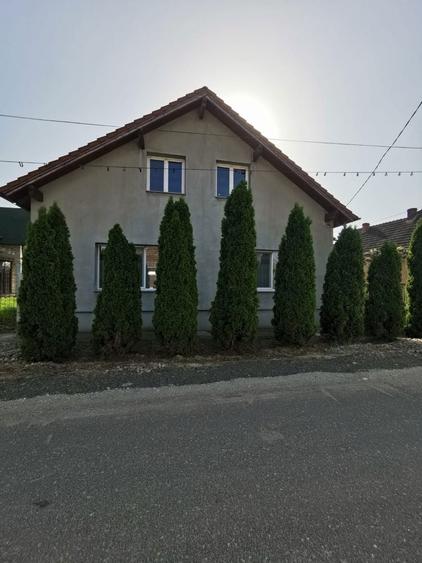Casă cu 4 camere în Halmeu