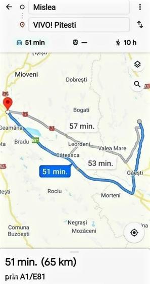 Spațiu comercial, în Mislea