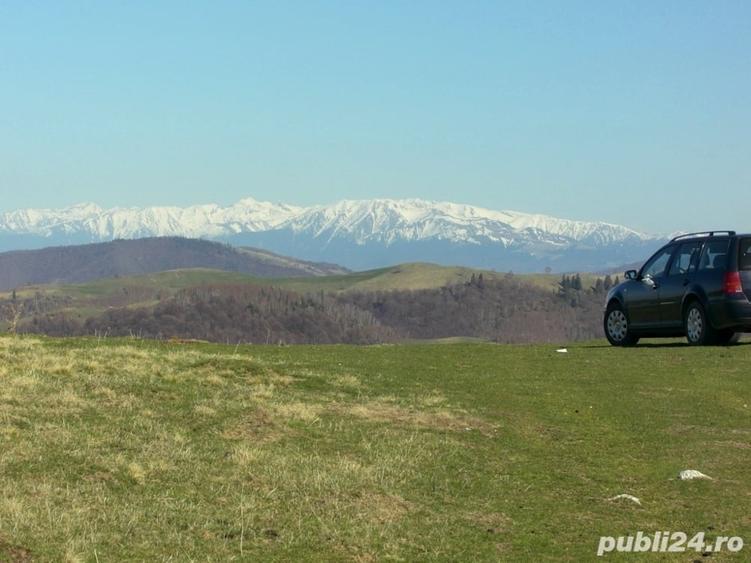 Teren de 10632 mp, în Paltin
