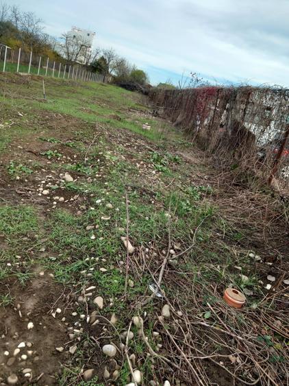 Teren Construcții intravilan de 444 mp, în Poștei - Bucov