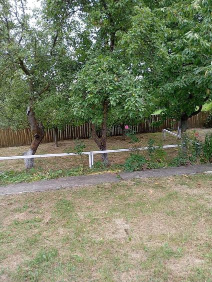 Casă cu 2 camere cu Teren 5000 Mp în Șișcani
