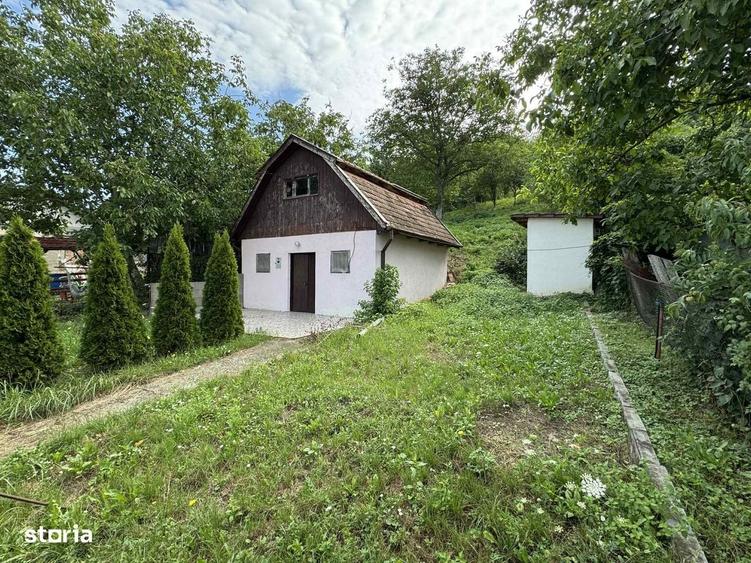 Casă cu 2 camere în Supur