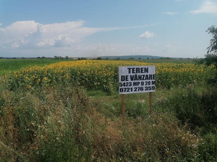 Spațiu comercial, în Comișani