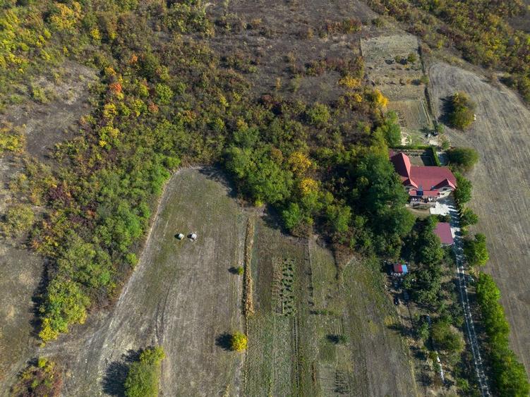 Teren Construcții intravilan de 11400 mp, în Corpadea