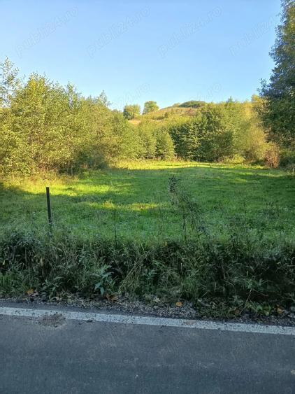 Teren de 4000 mp, în Beznea