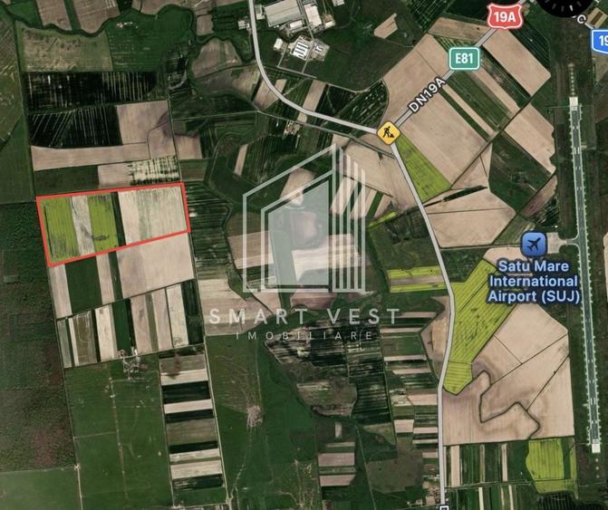 Teren agricol extravilan de 96500 mp, în Ardud