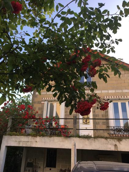 Casă cu 4 camere în Exterior Vest