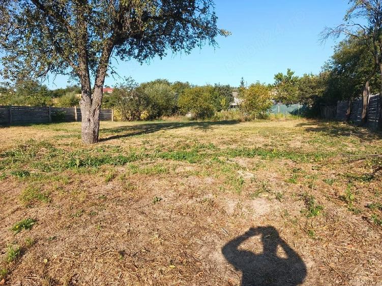 Teren de 1560 mp, în Ciurea