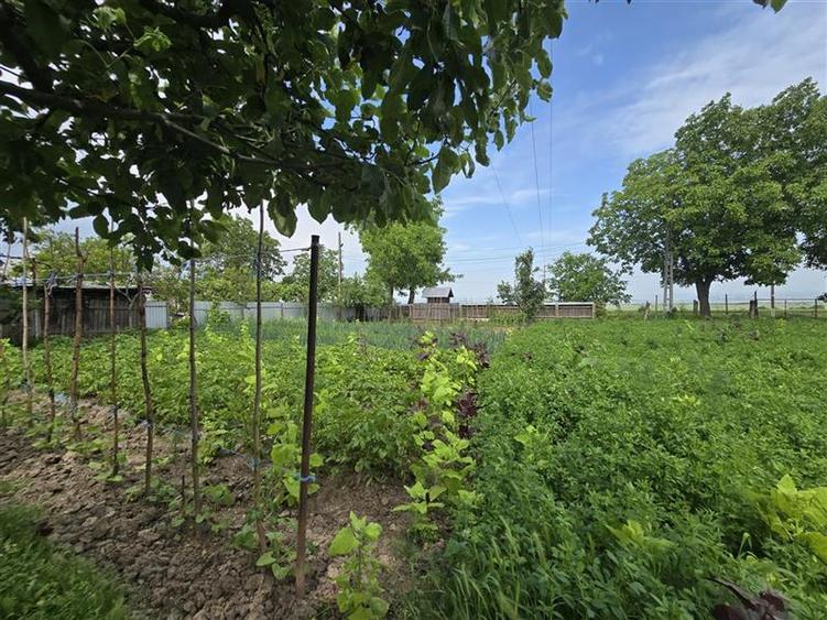 Casă individuală cu 6 camere cu Canalizare în Bahna