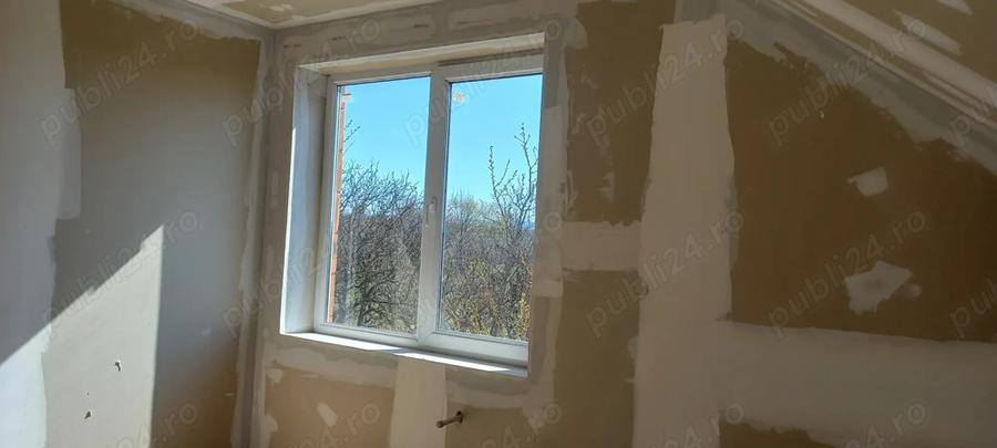 Casă cu 5 camere în Viile Satu Mare