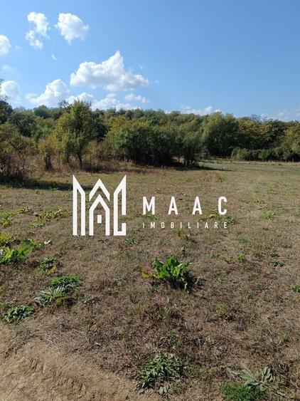 Teren agricol extravilan de 1000 mp, în Amnaș