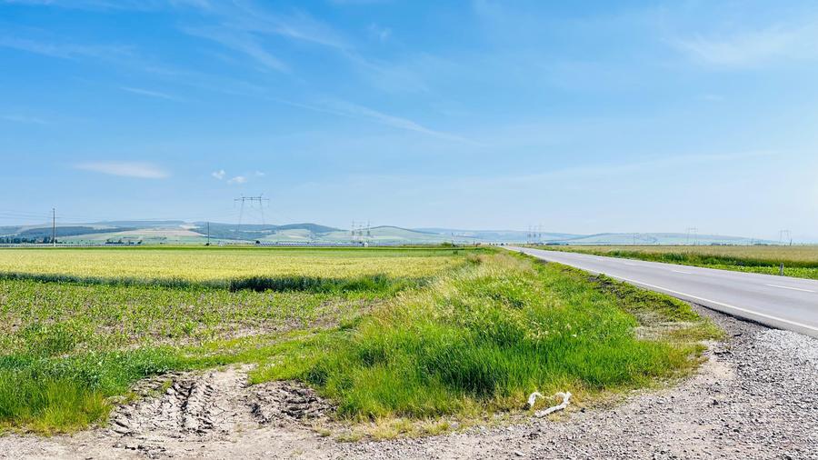 Teren agricol extravilan de 74615 mp, în Reci