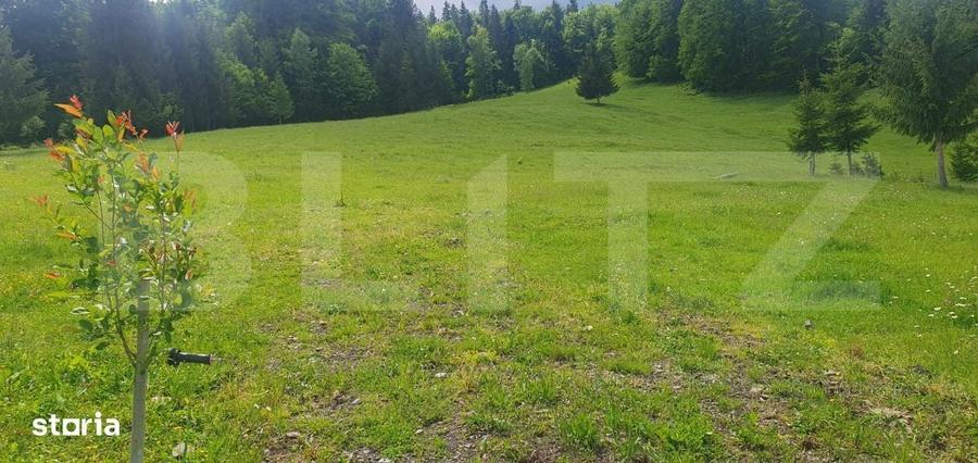 Casă cu 2 camere cu Teren 30000 Mp în Dorna Candrenilor