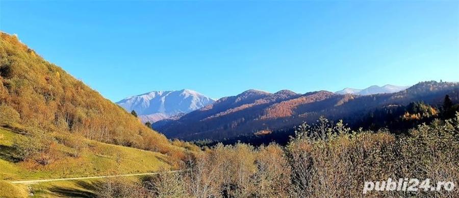 Teren de 4000 mp, în Racovița
