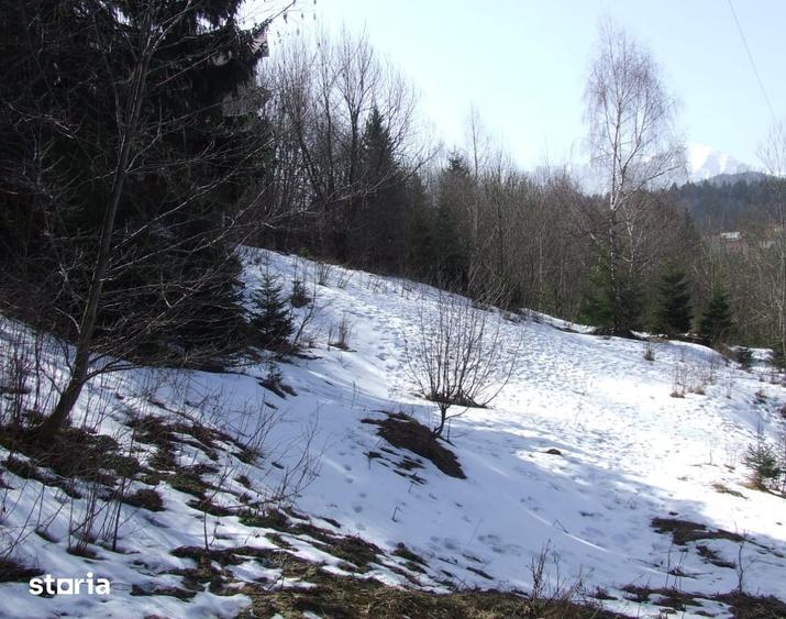 Teren Cioplea Predeal - 6