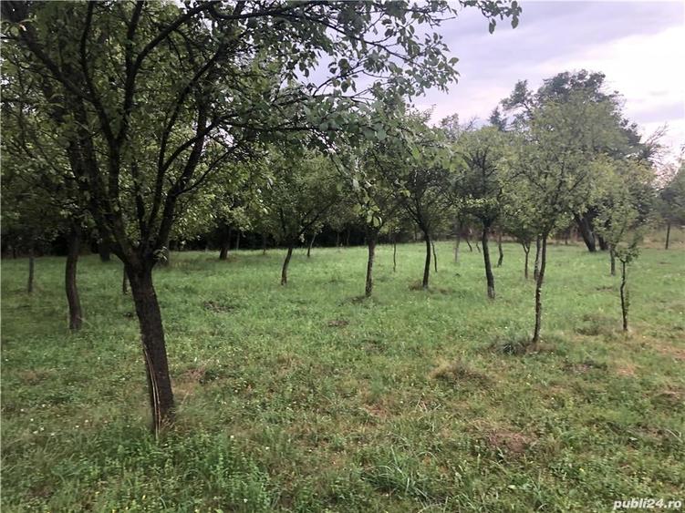 Teren de 1000 mp, în Valea Mare