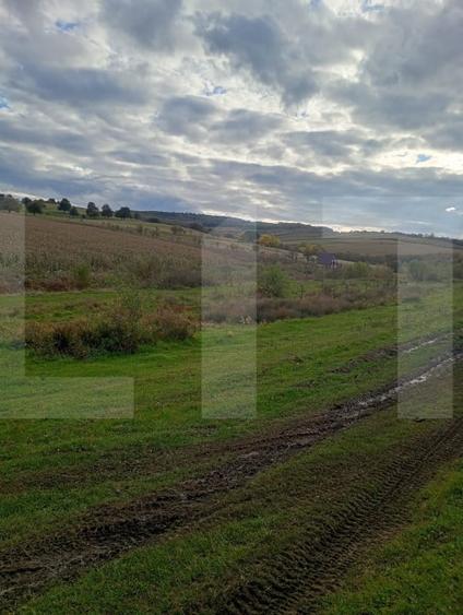 Teren agricol extravilan de 1760 mp, în Corușu
