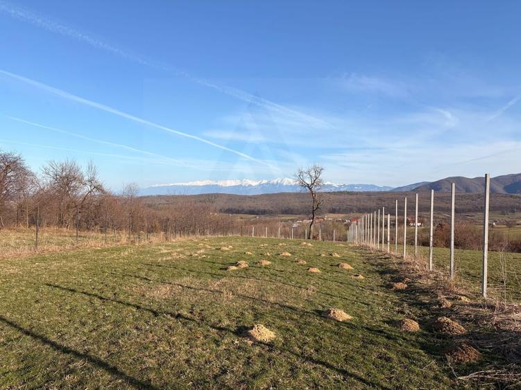 Teren Construcții intravilan de 809 mp, în Exterior Sud