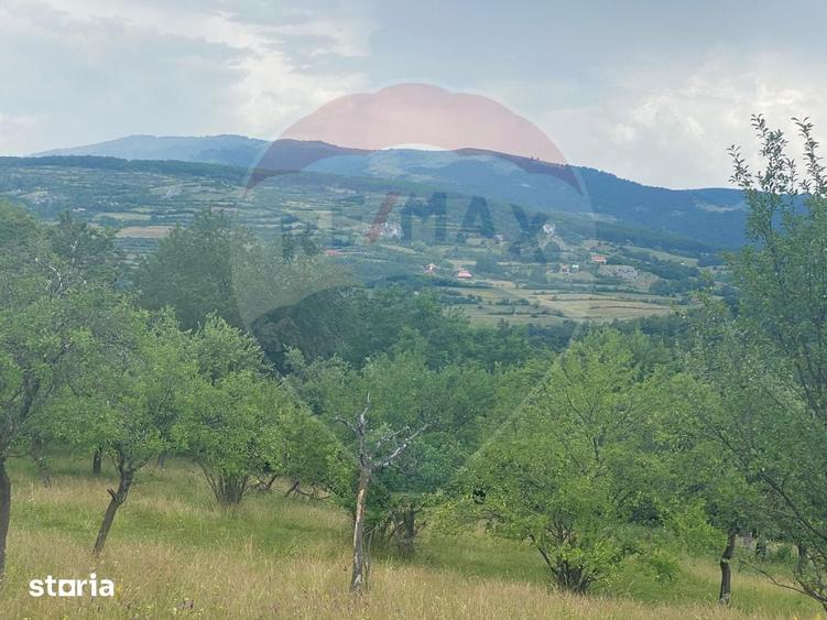 Teren de 12458 mp, în Meteș