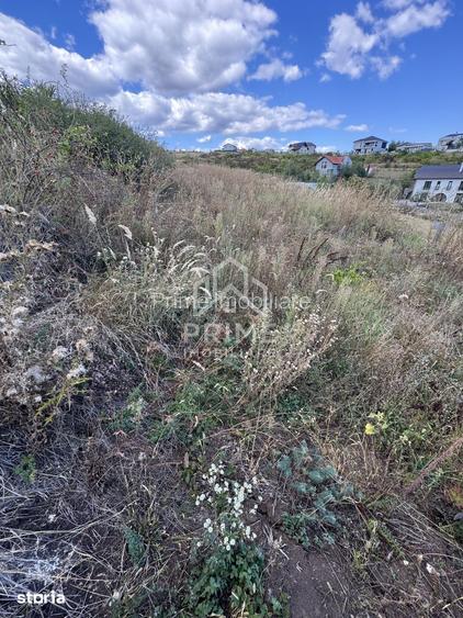 Teren intravilan de vanzare Zona Schit | 774 mp | PUZ ABROBAT |