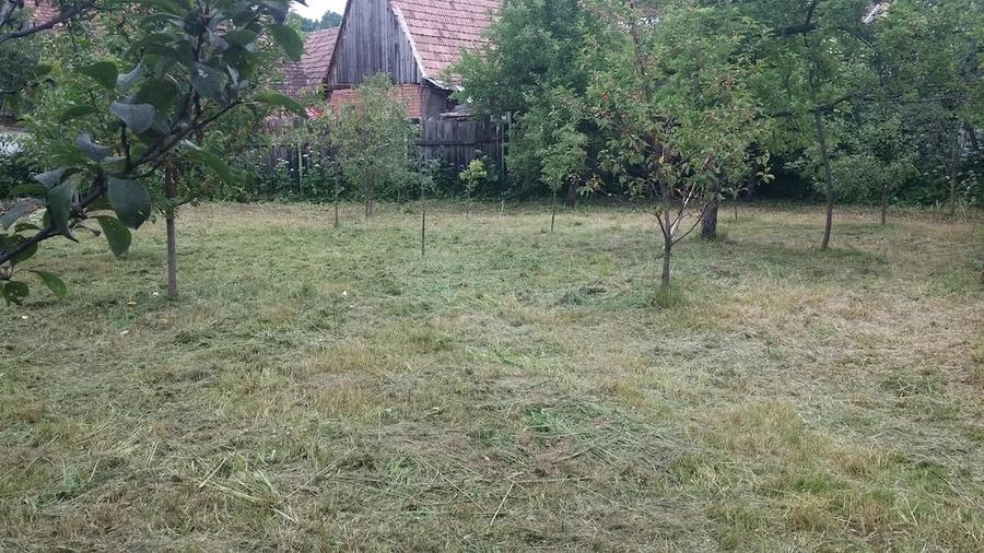 Casă cu 3 camere cu Teren 750 Mp în Rășinari