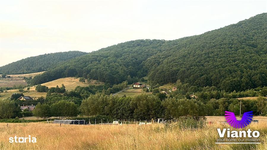 Oportunitate Teren Pt Investitie 3408mp in Gura Raului - 4