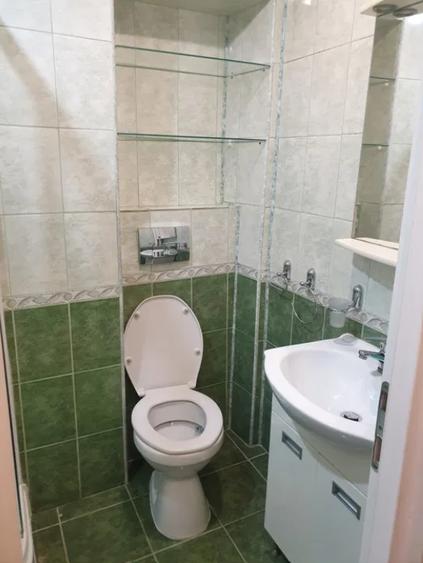 Apartament cu 2 camere nedecomandat, mobilat în Alexandru cel Bun