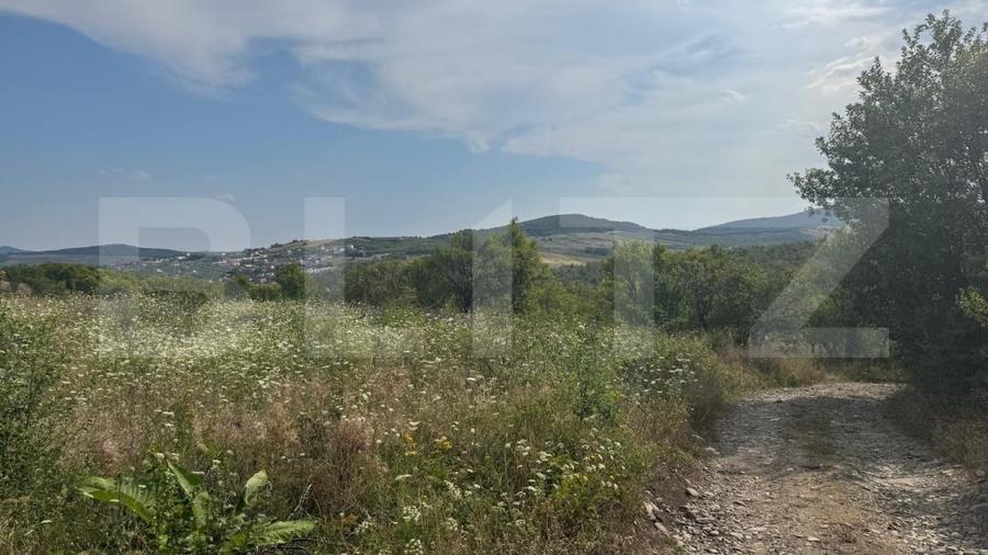 Teren Construcții extravilan de 10819 mp, în Sud-Vest