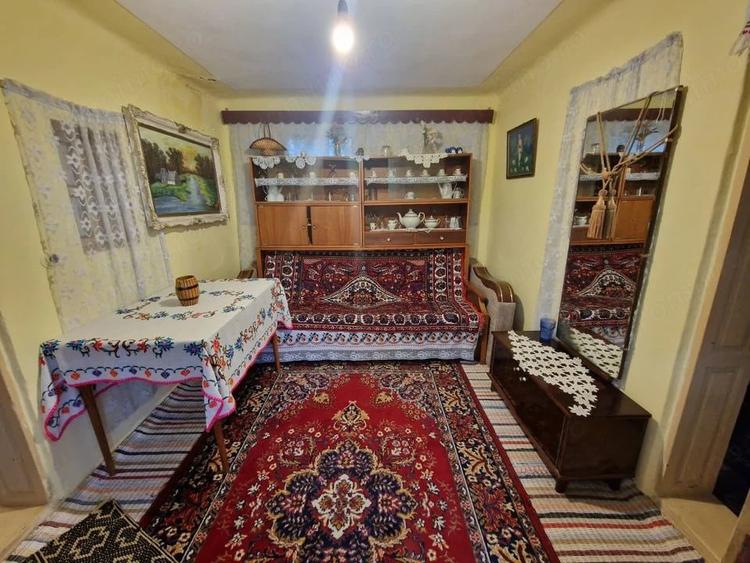Gospodarie completa ?i spa?ioasa -Lunca Corbului- Ciesti! - 19