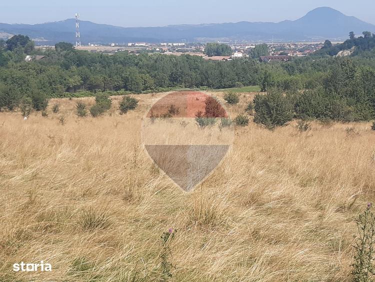 Teren extravilan-pasune, 6,300mp Rasnov / Soseaua Risnov-Paraul Rece - 5