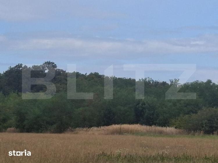 Teren de 7500 mp, în Raciu