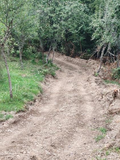 Teren de 30000 mp, în Cornereva