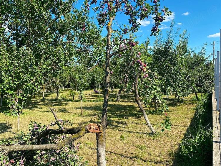 Teren intravilan de vanzare-560mp-Sat Tariceni,Comuna Sirna,Judet Prahova - 4