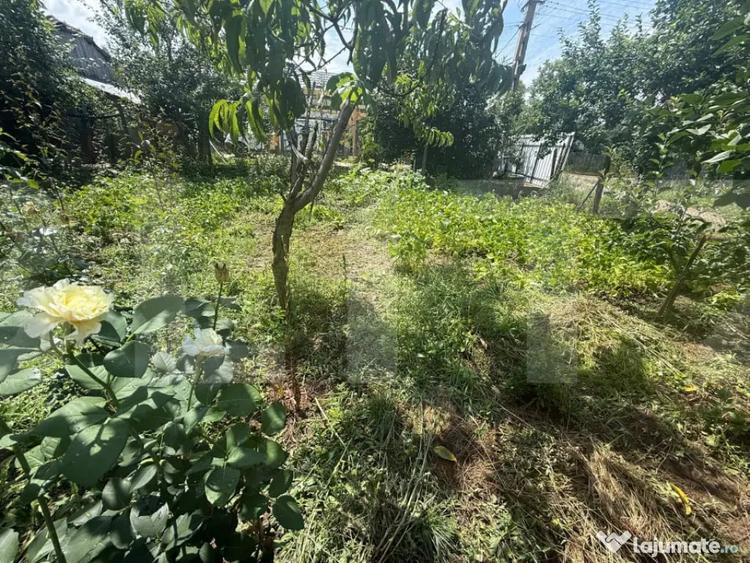 Casă cu 2 camere cu Teren 5000 Mp în Schit-Orășeni
