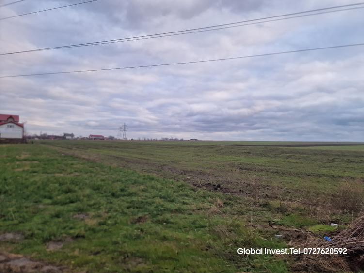 Teren agricol extravilan de 2500 mp, în Corbu