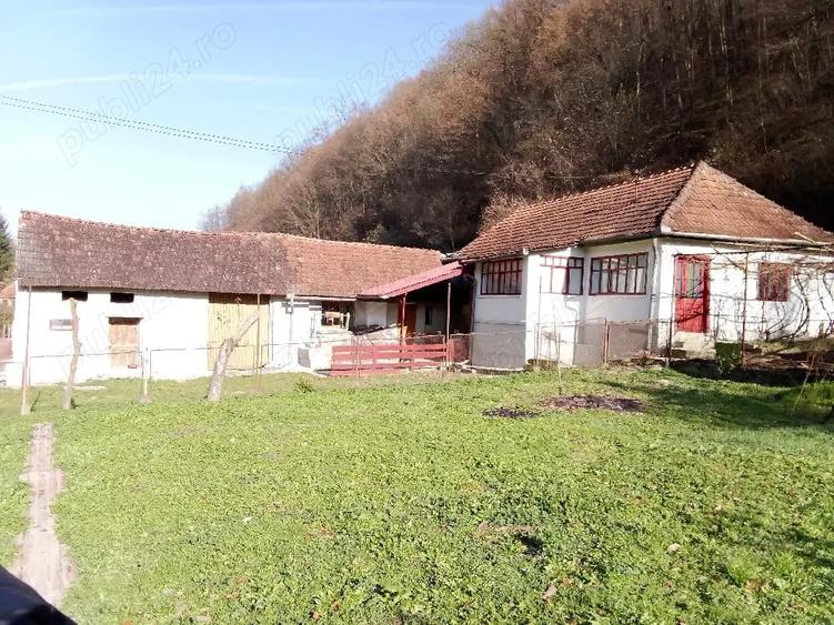 Casă în Brâznic