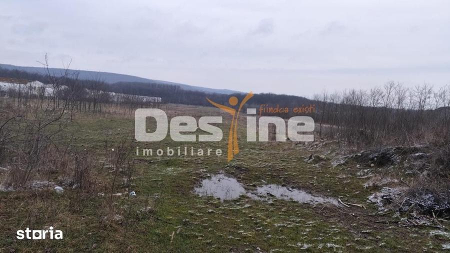 Teren de 7500 mp, în Scorțeni