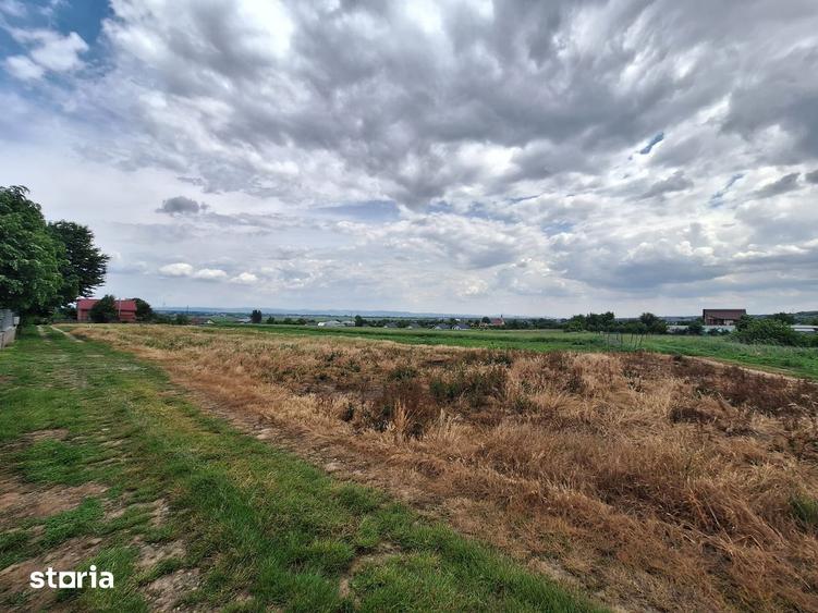 Loturi 500-1800mp Varianta Margineni-Hemeius - 9
