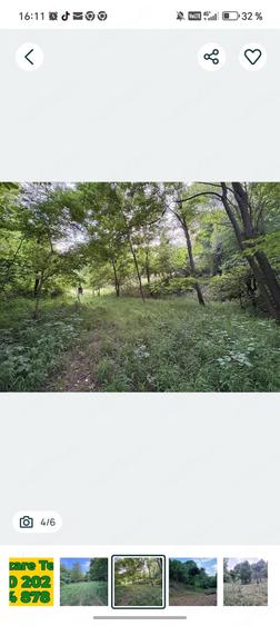 Teren de 12000 mp, în Boș