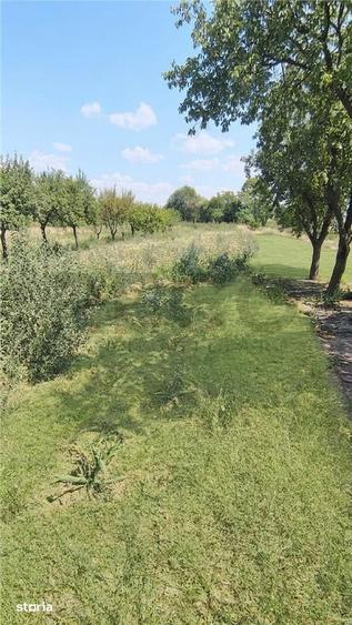 Casă cu 3 camere cu Teren 2400 Mp în Tinca