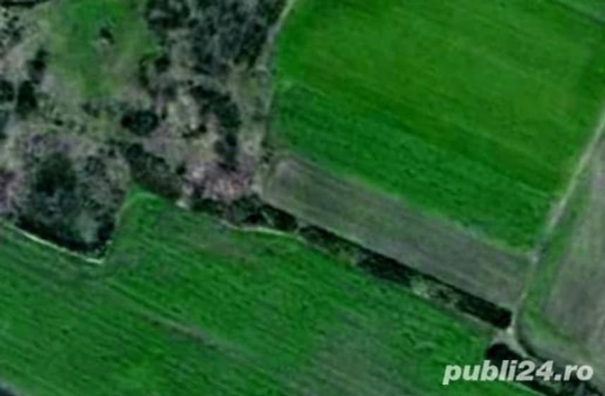 Teren de 15000 mp, în Folea