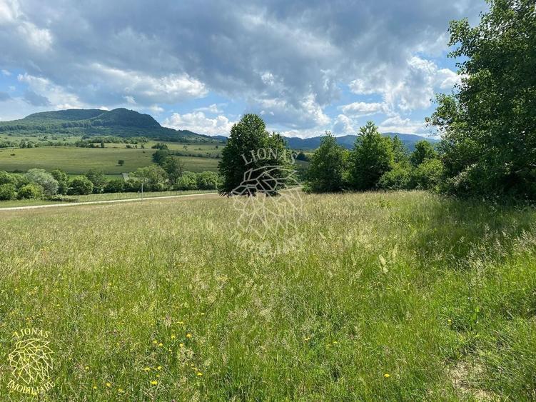 Teren agricol extravilan de 6500 mp, în Cușma