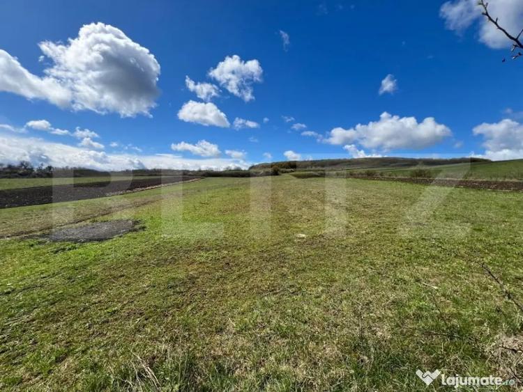 Teren de 2500 mp, în Jelna