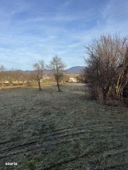 Casă cu 3 camere în Satu Nou de Jos