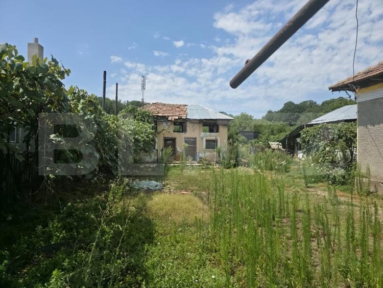 Teren Construcții intravilan de 1598 mp, în Cobia