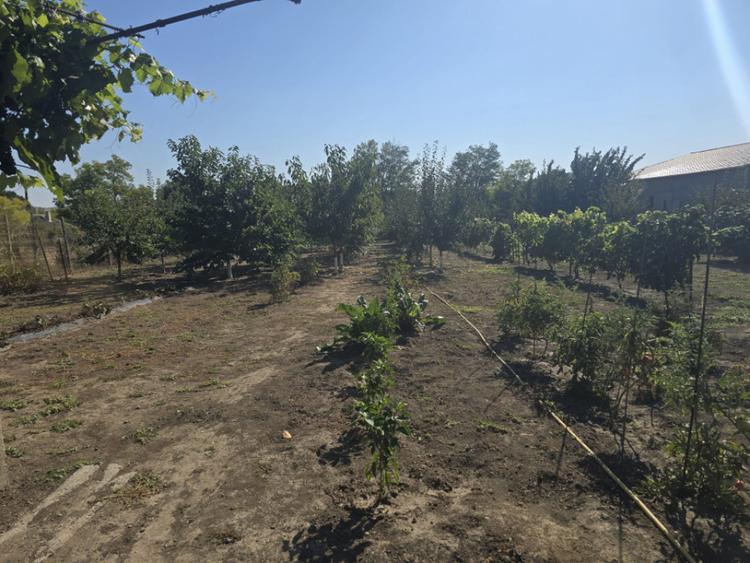 Casă cu 3 camere cu Teren 2000 Mp în Păcii