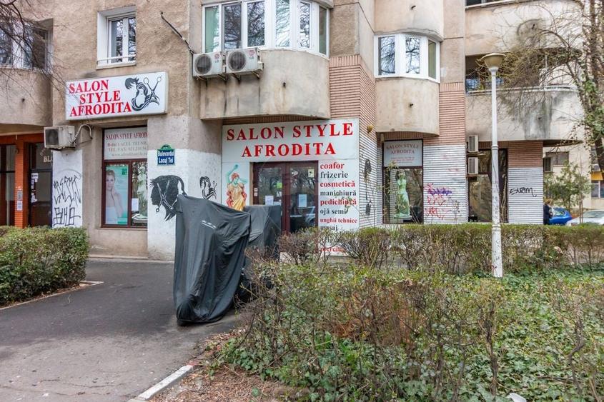 Spațiu comercial, de 132.69000244141 mp, în Lacul Tei