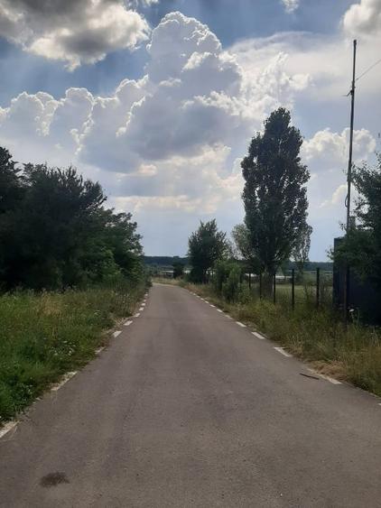 PROPRIETAR Teren stradal ILFOVENI - 1